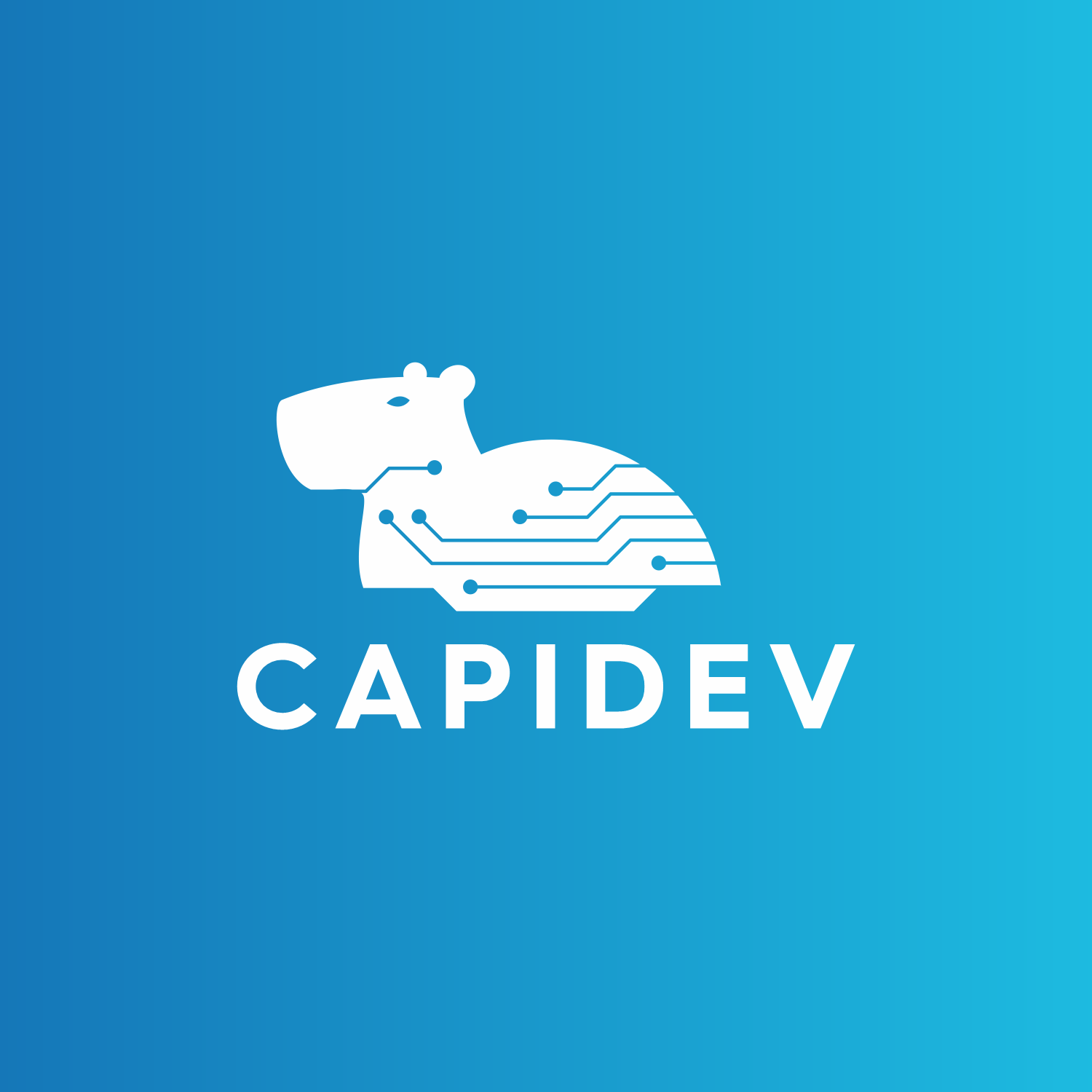 CAPIDEV Logo
